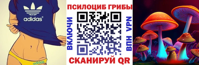 что такое   Стерлитамак  ОМГ ОМГ как зайти  Галлюциногенные грибы Psilocybe 